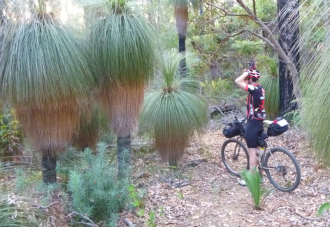 image6 image6